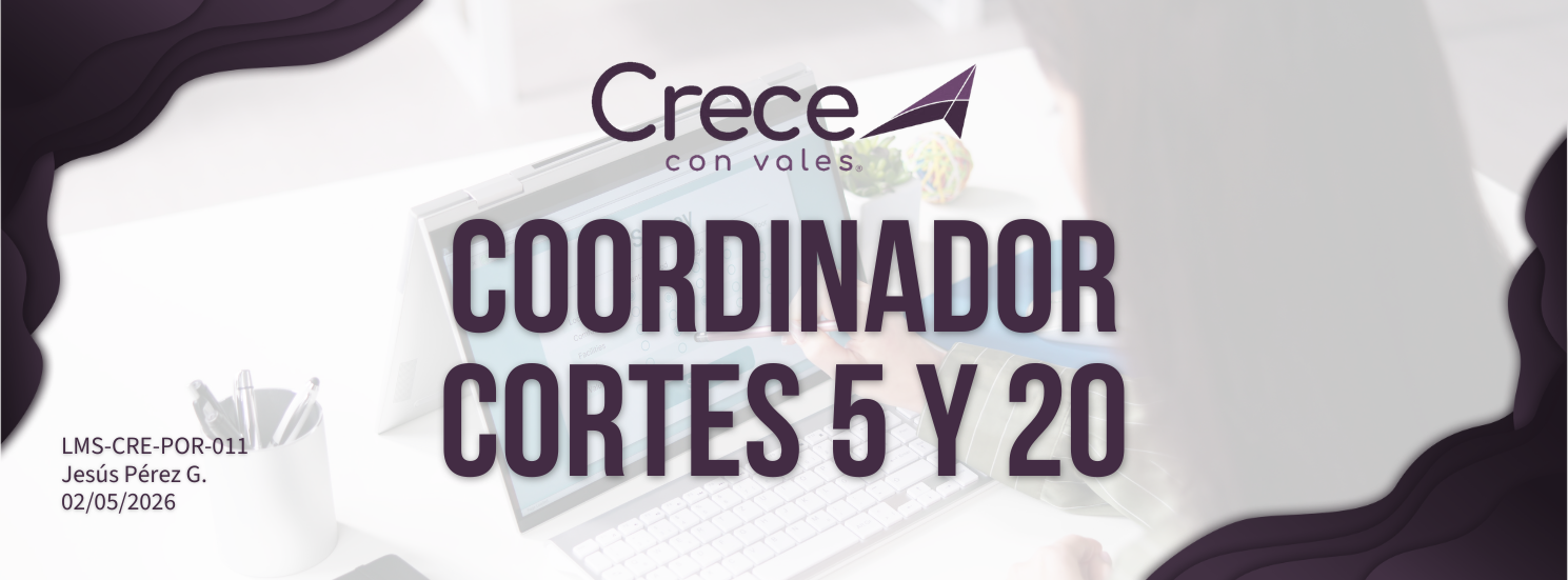 Coordinador/a,