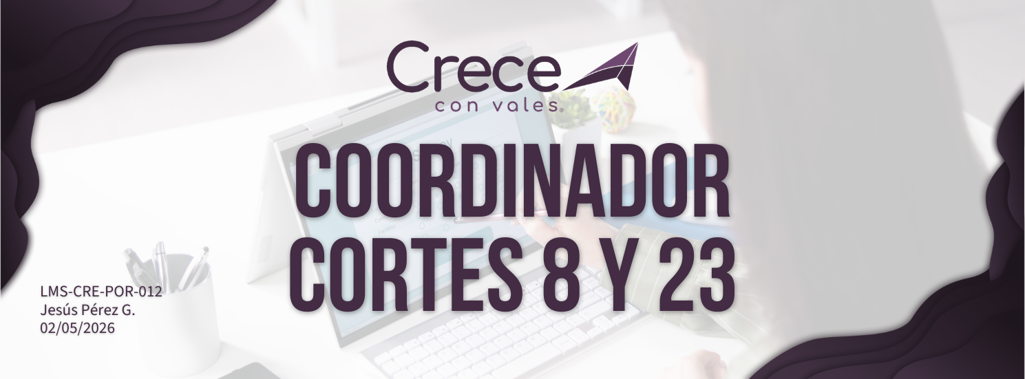 Coordinador/a,